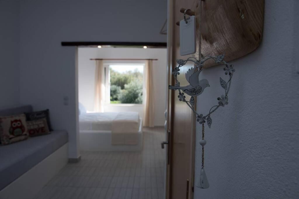 Nemesis Paleochora Appartement Chania  Buitenkant foto